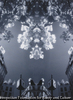 Double Vision-Paris: Quartier Saint Germain