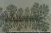 Dendrite