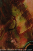 Abalone shell IV
