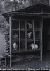 うさぎ小屋