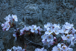 今森 光彦