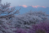 山から神が降りてきた