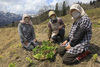 早春の香りがする山菜採り