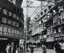 金村 修