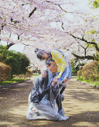 フォトグラファー ハル