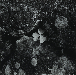 松村 明