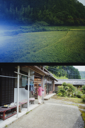 甫木元 空