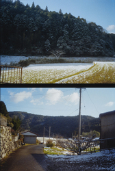 甫木元 空