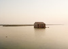 Comacchio, Argine Agosta, 1989
