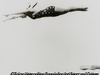 In the Air, Harper's BAZAAR