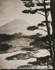 富士山の遠景