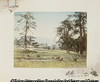 679 Playing Deers Kasuga Avenue at Nara.