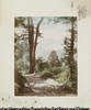 542 View of Hata.