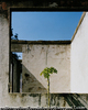 WINDOWS-East Timor, 2000