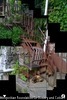 Joiner - Collage Camera