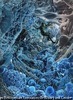 ウィルスゾーン