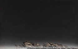 木村 恒久