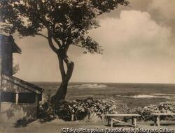 河野 龍太郎