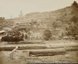 上野 彦馬