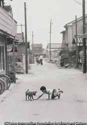 植田 正治