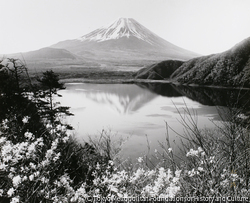 岡田 紅陽