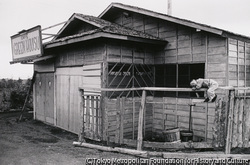 田沼 武能